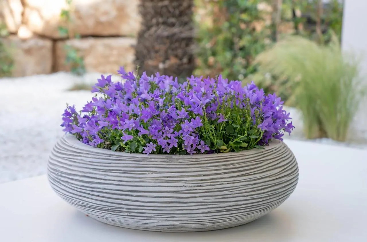 Casa Bodhi Boutique Hotel & Spa Μαρμπέλλα