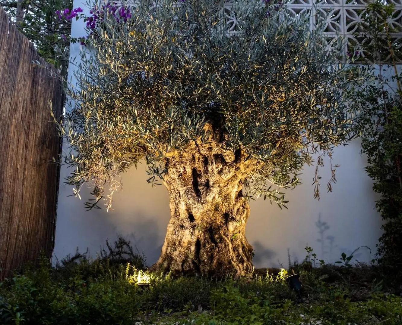 Casa Bodhi Boutique Hotel & Spa Marbellac